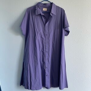 Purple button down collar dress